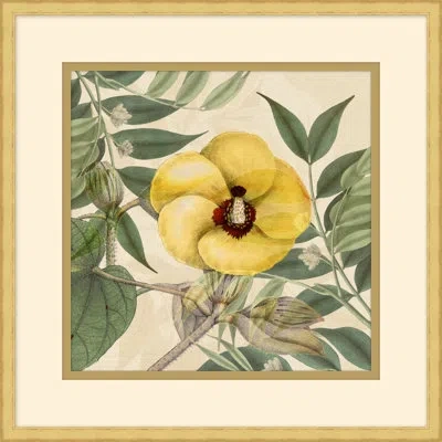 Wendover Art Group Golden Briar 3 - Picture Frame Painting In Green;beige;yellow