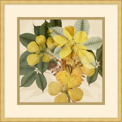 Wendover Art Group Golden Briar 4 - Picture Frame Painting In Brown