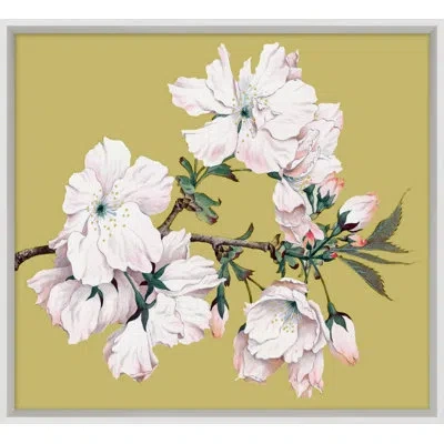 Wendover Art Group Goldenrod Blossom 1 - Picture Frame Painting In Brown;green;pink