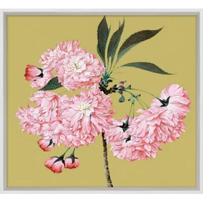 Wendover Art Group Goldenrod Blossom 3 - Picture Frame Painting In Brown;green;pink