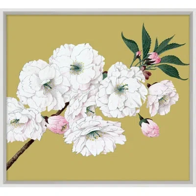 Wendover Art Group Goldenrod Blossom 9 - Picture Frame Painting In White;beige;pink