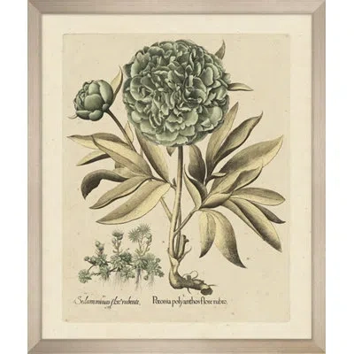 Wendover Art Group Grand Aqua Bessler 1 - Picture Frame Painting On Paper In Green;gray;beige