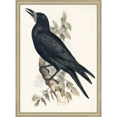 Wendover Art Group Grand Blackbird - Picture Frame Painting On Paper In Multi