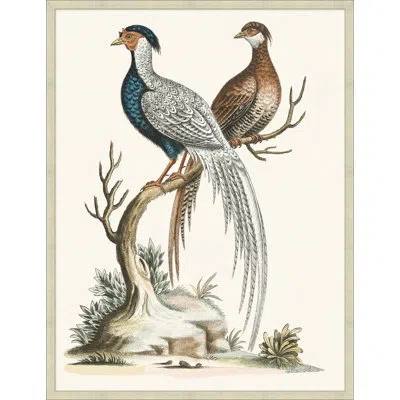 Wendover Art Group Grand Pheasant 2 - Picture Frame Painting On Paper In Blue;brown;white