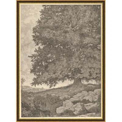 Wendover Art Group Grandfathers Tree - Picture Frame Painting Print In Black
