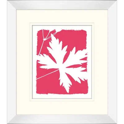 Wendover Art Group Graphic Leaf Study 5 - Picture Frame Graphic Art On Paper In White;red;beige