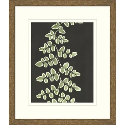 Wendover Art Group Graphic Lewis Ferns 4 - Picture Frame Graphic Art On Paper In White;green;beige