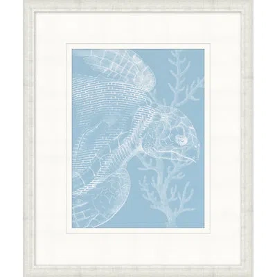 Wendover Art Group Graphic Ocean Collection 7 By Hamptons - Picture Frame Painting On Paper In Blue;white