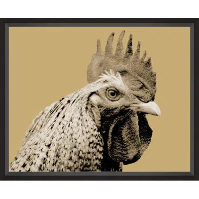 Wendover Art Group Graphic Rooster 1 - Picture Frame Photograph On Paper In Brown