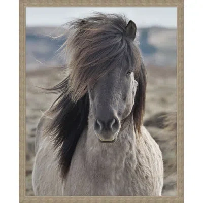 Wendover Art Group Gray Mane By Lillian August - Single Picture Frame Photograph On Canvas In Brown;gray