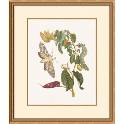 Wendover Art Group Growth State 1 In Multi