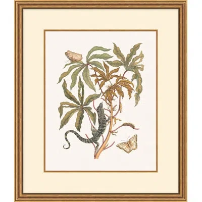 Wendover Art Group Growth State 2 In Multi