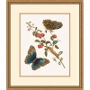 Wendover Art Group Growth State 3 In Brown
