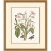 Wendover Art Group Growth State 4 In Multi