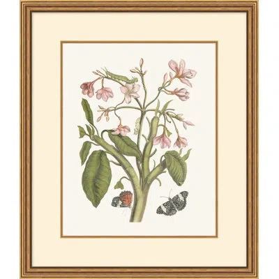 Wendover Art Group Growth State 4 In Multi