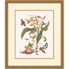 Wendover Art Group Growth State 5 In Multi