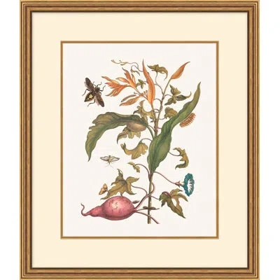 Wendover Art Group Growth State 5 In Multi