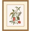 Wendover Art Group Growth State 6 In Multi