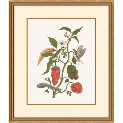 Wendover Art Group Growth State 6 In Multi