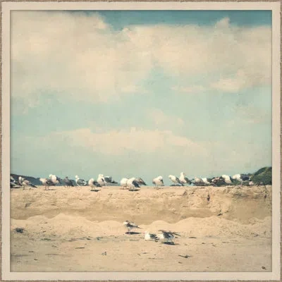 Wendover Art Group Gull Colony - Picture Frame Photograph On Canvas In Multi