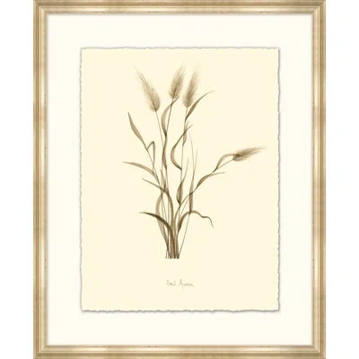 Wendover Art Group Hairs Tail - Picture Frame Painting On Paper In Brown