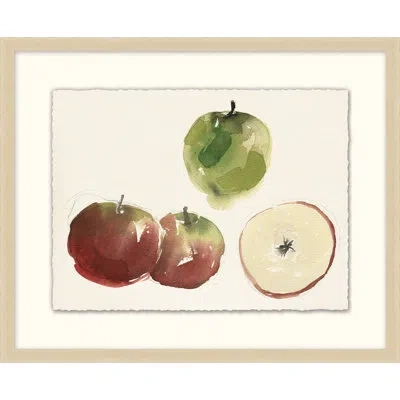 Wendover Art Group Harvest 3 - Picture Frame Painting On Paper In Brown;green;ivory