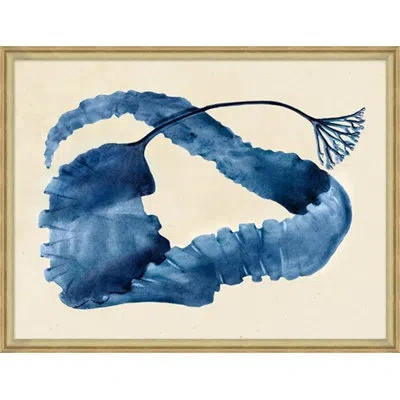 Wendover Art Group Harvey's Indigo Seaweed 1 - Picture Frame Painting On Paper In Beige;navy