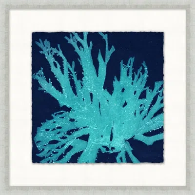 Wendover Art Group Heliopora Coerulea 8 - Picture Frame Print On Paper In Multi