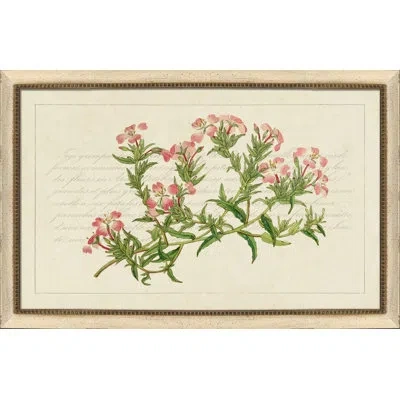 Wendover Art Group Horizontal Bouquet Vi - Picture Frame Painting On Paper In Green;beige;pink