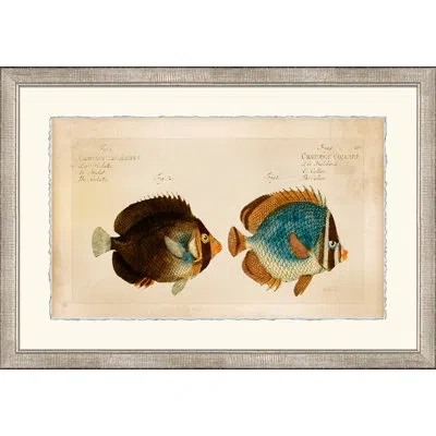 Wendover Art Group Horizontal Chatodon 2 - Picture Frame Graphic Art On Paper In Blue;brown