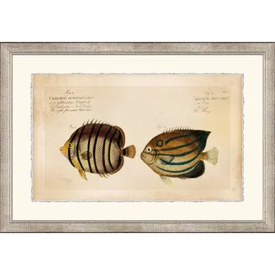 Wendover Art Group Horizontal Chatodon 3 - Picture Frame Painting On Paper In Brown;beige