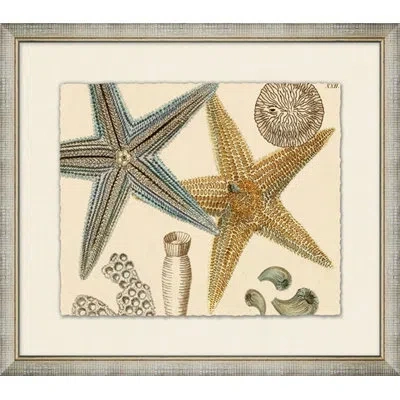 Wendover Art Group Horizontal Sea Collection 1 - Picture Frame Painting On Paper In Brown;green;cream