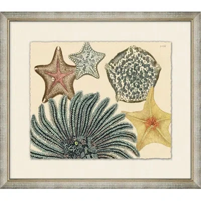 Wendover Art Group Horizontal Sea Collection 2 - Picture Frame Painting On Paper In Brown;green;cream
