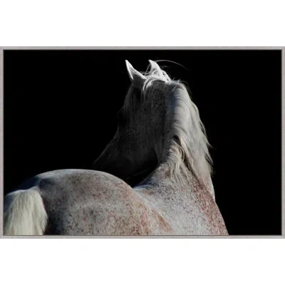 Wendover Art Group Horse Shadows By Studiobjet - Floater Frame Photograph On Canvas In Black;brown;ivory