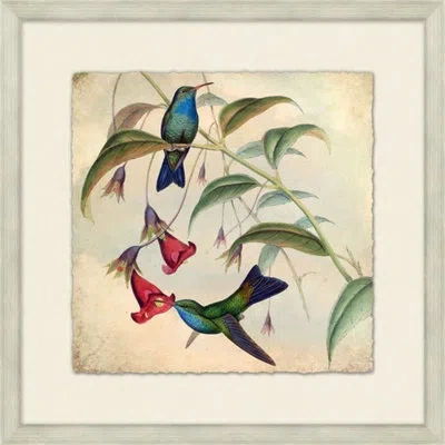 Wendover Art Group Humming Bird Garden 6 - Picture Frame Painting On Paper In Blue;green