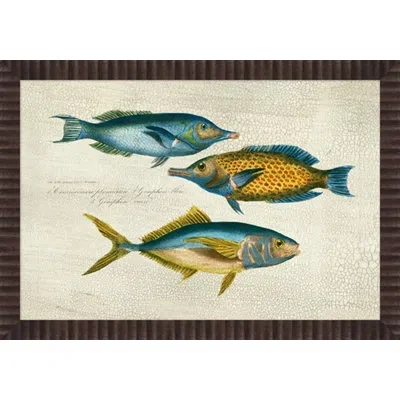 Wendover Art Group Indigo Chetodon 3 - Picture Frame Painting On Paper In Blue;beige;yellow