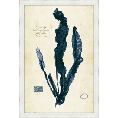Wendover Art Group Indigo Sea Grass Ii Picture Frame Painting In White Frame