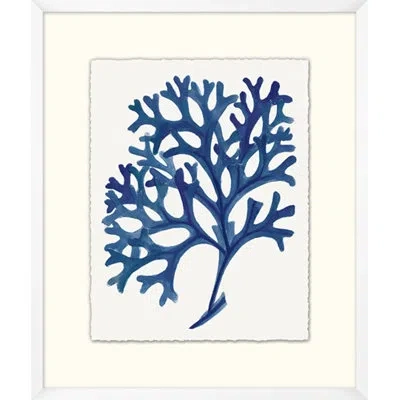 Wendover Art Group Indigo Sea Life 1 - Picture Frame Painting On Paper In White;indigo