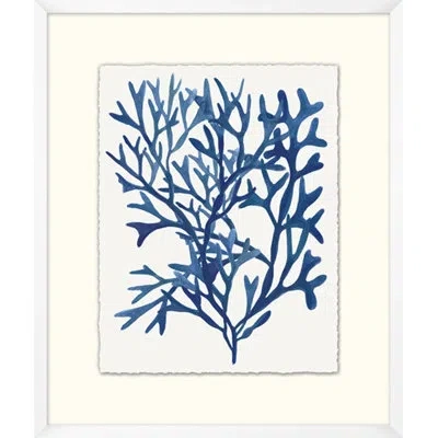 Wendover Art Group Indigo Sea Life 4 - Picture Frame Painting On Paper In White;indigo