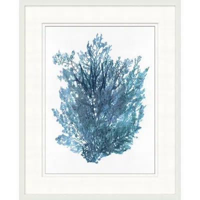 Wendover Art Group Indigo Seagrass 1 - Picture Frame Painting In Blue;white