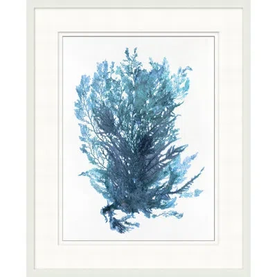 Wendover Art Group Indigo Seagrass 4 By - Picture Frame Painting In White;dark Blue