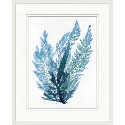 Wendover Art Group Indigo Seagrass 9 - Picture Frame Painting In Blue;white