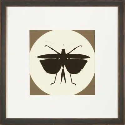 Wendover Art Group Insect Silhouette Ii Picture Frame Graphic Art In Black;brown;beige