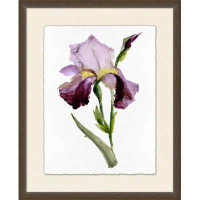 Wendover Art Group Iris 2 - Picture Frame Painting In White;green;purple