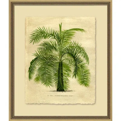 Wendover Art Group Island Palm Ii - Picture Frame Painting In Green;beige