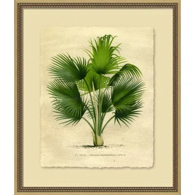 Wendover Art Group Island Palm Iv - Picture Frame Painting In Green;beige