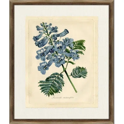 Wendover Art Group Jacaranda - Picture Frame Painting In Green;beige;navy