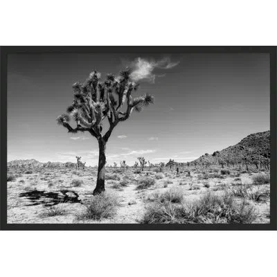 Wendover Art Group Joshua Tree 1 By Christopher Kennedy - Picture Frame Photograph In Gray