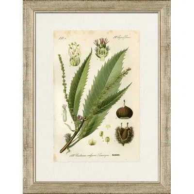 Wendover Art Group Kaftanie - Picture Frame Graphic Art On Paper In Brown;green
