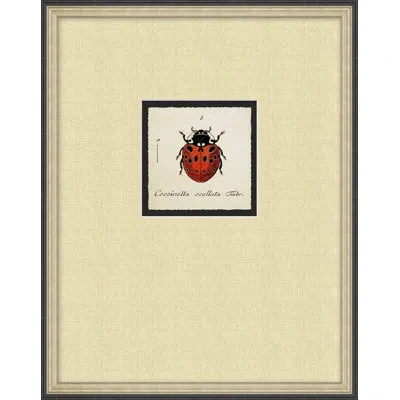 Wendover Art Group Lady Bug 1 - Picture Frame On Paper In Red;beige